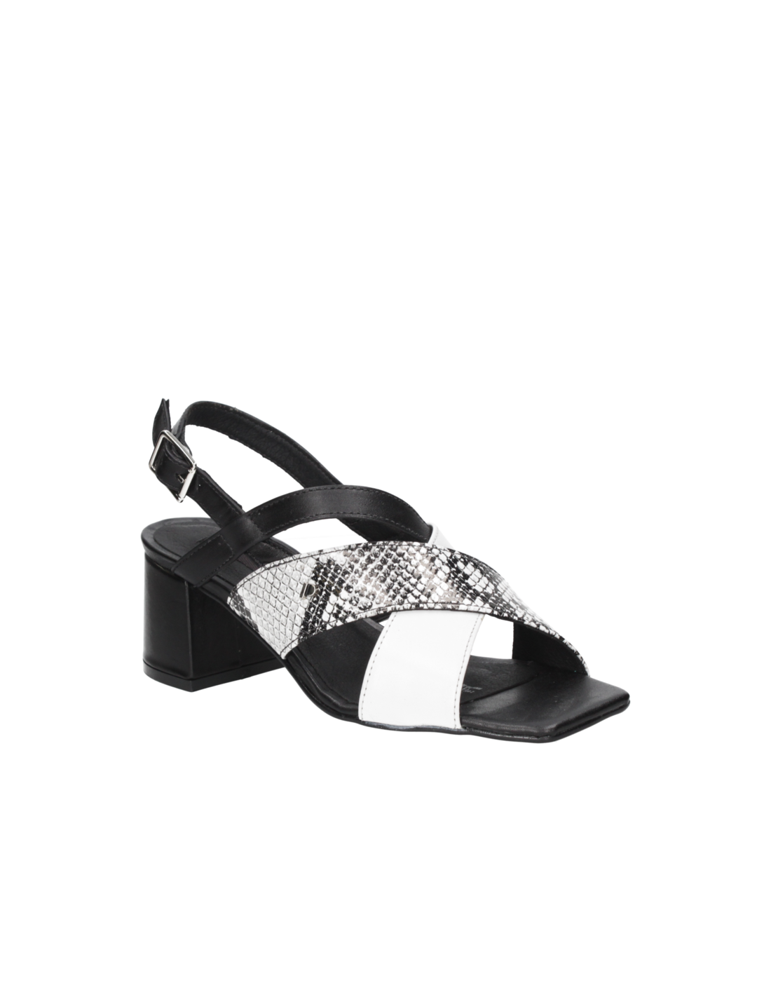 Zapato Mujer G341 Pollini