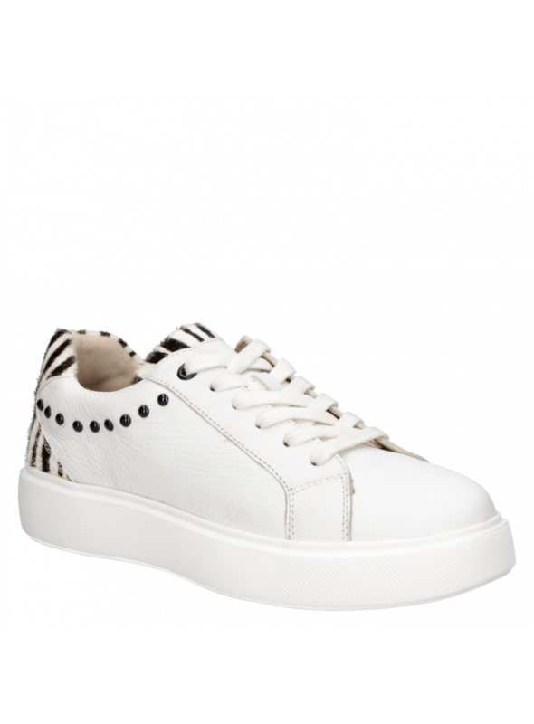 Zapatilla Mujer G266 Pollini negro