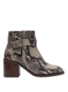 Botin Mujer H278 POLLINI animal print