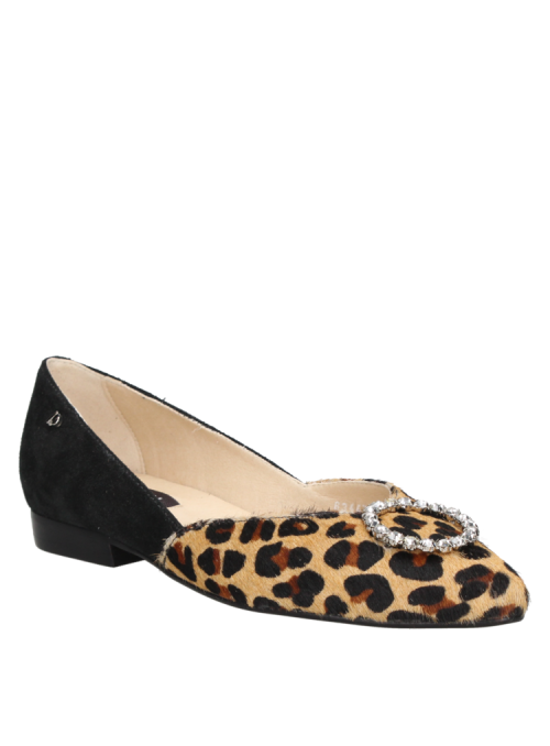 Zapato Mujer