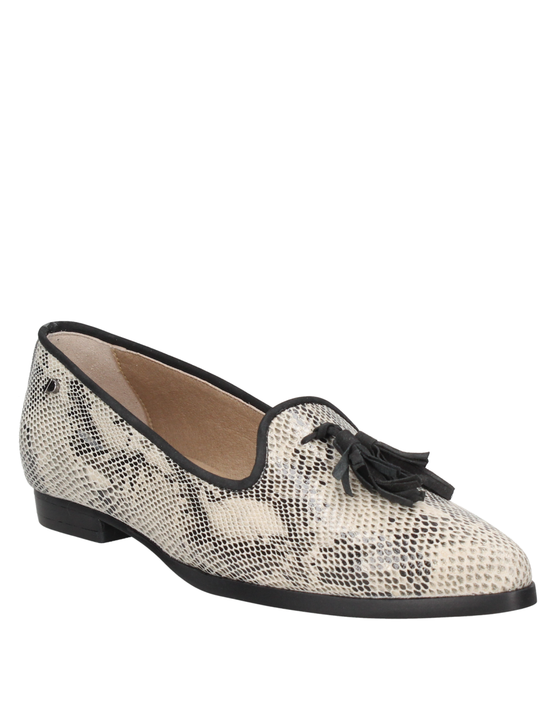 Zapato Mujer G251 Pollini