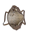 Tote bag taupe de nylon con cierre metálico, funcional y elegante para mujeres modernas.